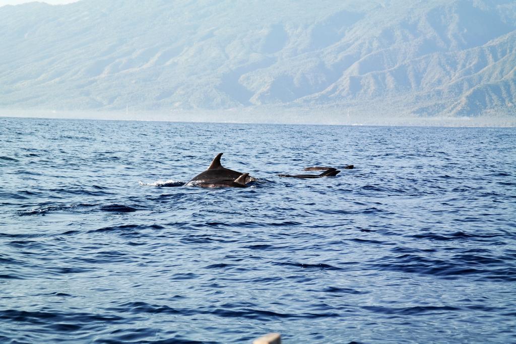 Cili Emas Oceanside Resort Tejakula Bagian luar foto